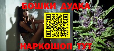 крисы Абакан
