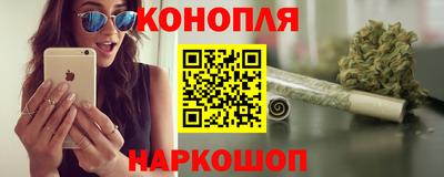 крисы Абакан