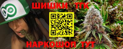 крисы Абакан