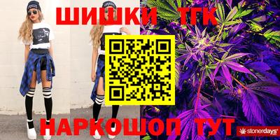 крисы Абакан