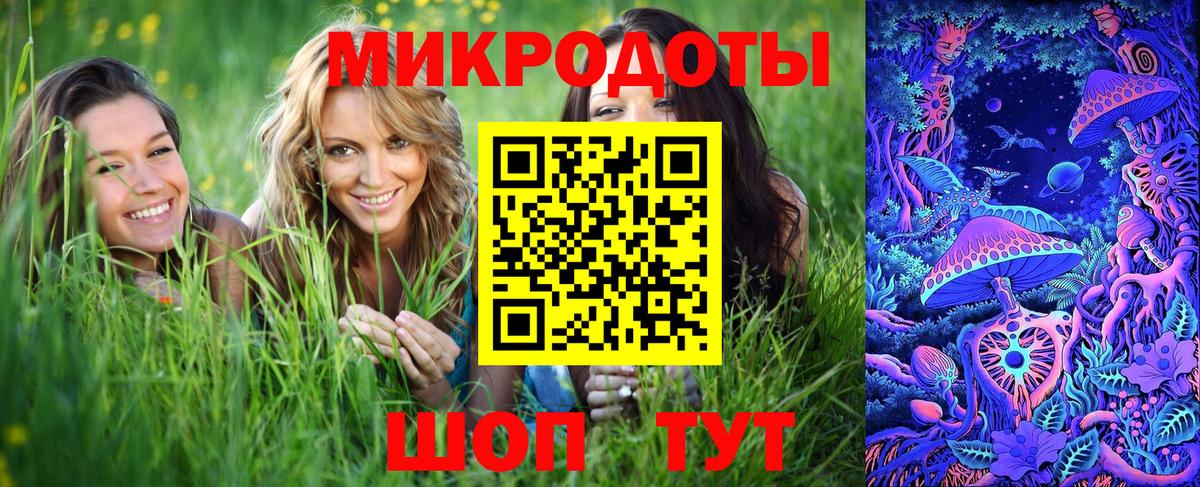 Ангарск  хочу   Вход с VPN  Псилоцибиновые грибы Psilocybine cubensis 